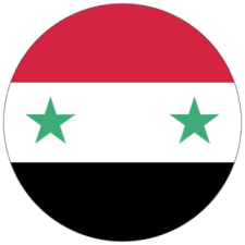 Immediate Loading of Naxis Implant with Simultaneous Restoration - Syria - Naxis